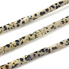 Natural Dalmatian Jasper Beads Strands G-F247-21-1