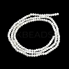 Natural Trochus Shell Beads Strands BSHE-G036-08A-01-2