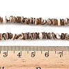 Natural Black Lip Shell Beads Strands SSHEL-F304-02A-5