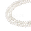 1 Strand Natural Trochus Shell Rondelle Beads Strands SSHEL-TA0001-16A-2