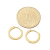 304 Stainless Steel Hoop Earrings for Women EJEW-C096-58G-3