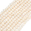 Natural Cultured Freshwater Pearl Beads Strands PEAR-L034-04-2