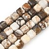Natural Petrified Wood Beads Strands G-C267-A06-2