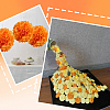 20Pcs Wrapping Paper DIY-SP0004-02F-5