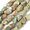 Raw Rough Natural HuBei Turquoise Beads Strands G-M453-D09-2