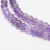 Natural Amethyst Beads Strands LS-G-F460-50-3