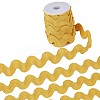 10 Yards Polyester Wavy Fringe Trim Ribbon OCOR-GF0002-49F-1