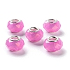 Pearlized Resin European Beads RESI-M001-01G-1