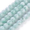 Natural Glass Beads Strands G-I247-15B-1