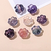Natural Fluorite Carved Beads LS-PW-WG1ACAE-10-1