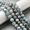 Natural Aquamarine Beads Strands G-I349-A01-01F-5