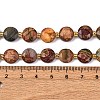 Natural Picasso Jasper/Polychrome Jasper Beads Strands G-C116-A118-01-6