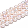 Natural Nucleated Pearl Keshi Pearl Beads Strands PEAR-S020-F12-4