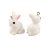 Resin Pendants RESI-S356-53-2