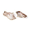 Natural Sea Shell Big Pendants with Golden Brass Edge & Iron Loops BSHE-T014-21-2