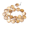 Natural Freshwater Shell Beads X-BSHE-I011-01A-01-2
