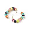 Real 18K Gold Plated Brass Hoop Earrings for Women EJEW-L234-092G-4