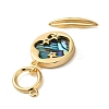 Brass Toggle Clasps with Paua Shell KK-N254-72G-3