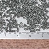 MIYUKI Delica Beads SEED-J020-DB0761-4