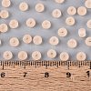 FGB Frosted Transparent Glass Seed Beads SEED-N013-02A-03-4