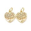 Rack Plating Brass Charms KK-F849-03G-1
