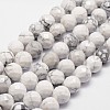 Natural Howlite Beads Strands G-G736-25-8mm-1