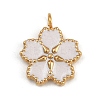304 Stainless Steel Pendants Ion Plating(IP) LS-STAS-C143-01C-G-1