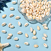 100Pcs Natural Cowrie Shell Beads BSHE-LT0001-03A-5