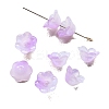 Handmade Lampwork Beads Cap PW-WG44676-03-1