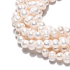 Natural Cultured Freshwater Pearl Beads Strands PEAR-N026-03-4