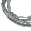 Natural Labradorite Beads Strands G-F631-E22-3