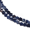 Natural Sodalite Beads Strands G-B138-C12-01-4