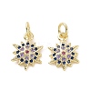 Brass Micro Pave Cubic Zirconia Charms KK-E068-VF163-2