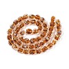 Handmade Foil Glass Beads FOIL-N029-10E-2