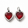 304 Stainless Steel Pendants STAS-D189-06P-12-2