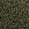 MIYUKI Delica Beads X-SEED-J020-DB2404-2