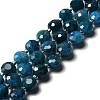 Natural Apatite Beads Strands G-B153-A05-2