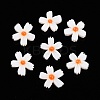 Natural Freshwater Shell Beads Strands X-SHEL-F004-04-01-2