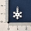 925 Sterling Silver Pendants FIND-Z069-04S-B-4