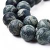 Frosted Natural Kambaba Jasper Beads Strands G-M272-14-6mm-5