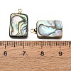Natural Abalone Shell Pendants SH-CJC0AC7-01H-G-3