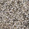 TOHO 6/0 Demi Round Beads SEED-DR06-PF21F-3