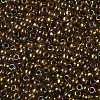 TOHO Round Seed Beads SEED-JPTR08-0459-2