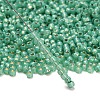 TOHO 8/0 Round Beads X-SEED-TR08-2119-3