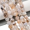 Natural Dendritic Agate Beads Strands G-A248-A07-05-1