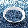 MIYUKI Round Rocailles Beads X-SEED-G007-RR0339-2