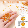 Picasso Baking Paint Glass Seed Beads SEED-TA0001-62C-3