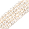Natural Cultured Freshwater Pearl Beads Strands PEAR-I007-01B-06B-2