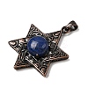 Dyed Natural Lapis Lazuli Pendants G-A297-06R-20-2