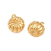 304 Stainless Steel Charms STAS-H241-17B-G-2